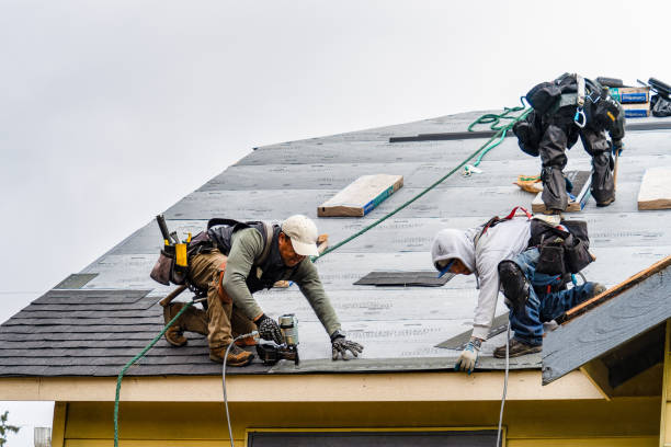 Professional Roof Replacement technician working in Rhodes, IA